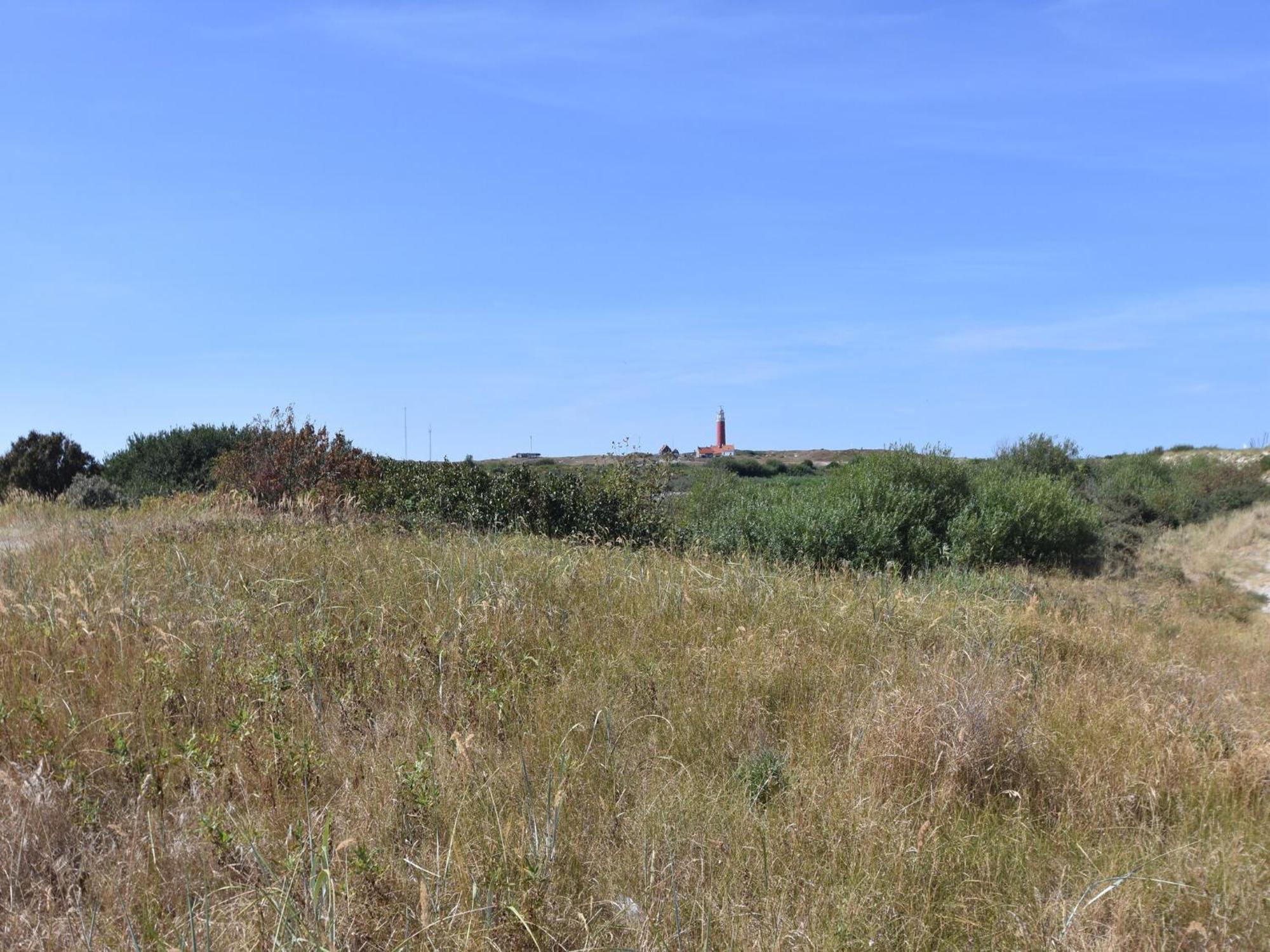 Great Holiday Home Energy Neutral On Texel With Sauna And Sun Shower Westermient Ngoại thất bức ảnh