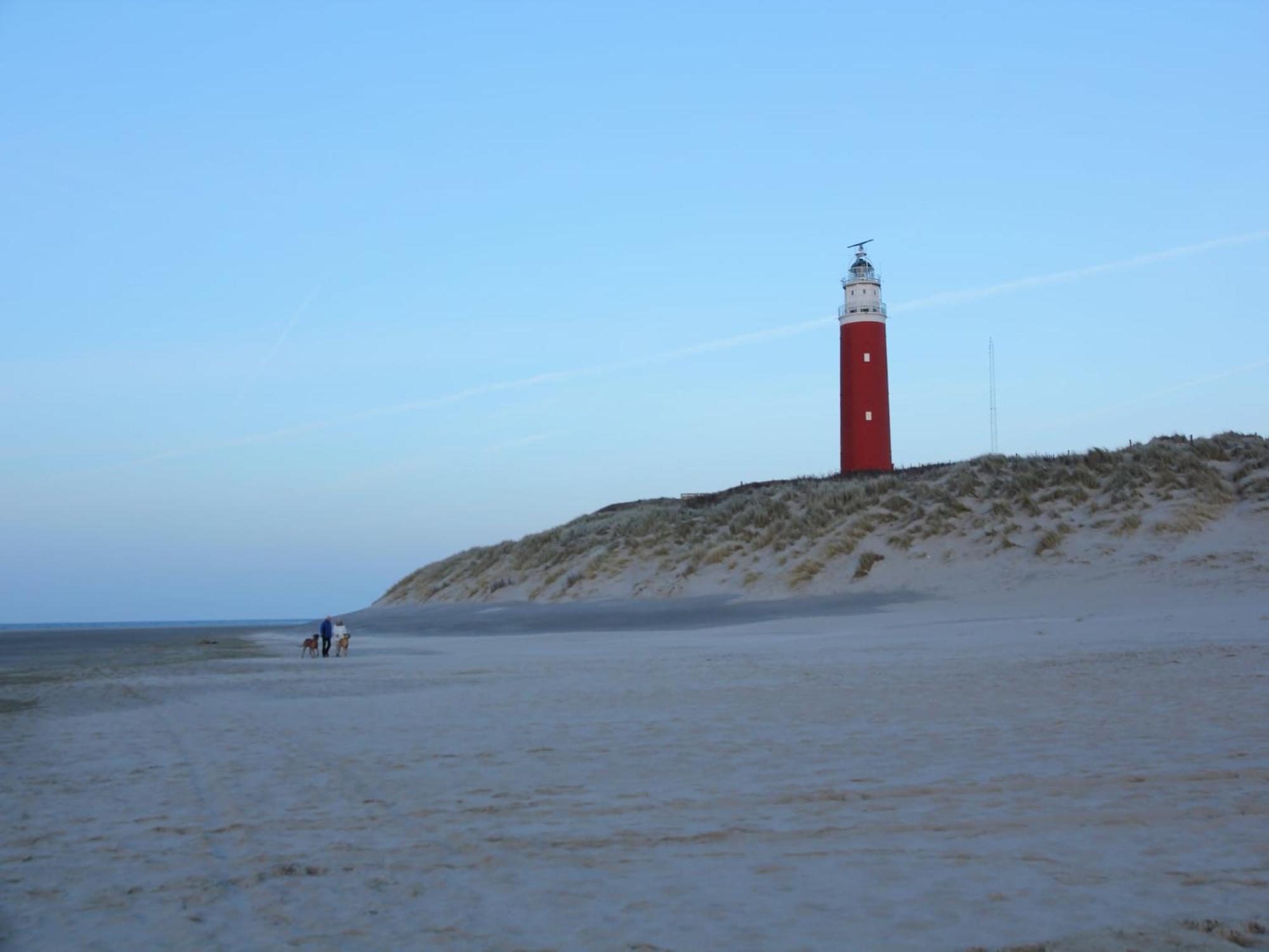 Great Holiday Home Energy Neutral On Texel With Sauna And Sun Shower Westermient Ngoại thất bức ảnh