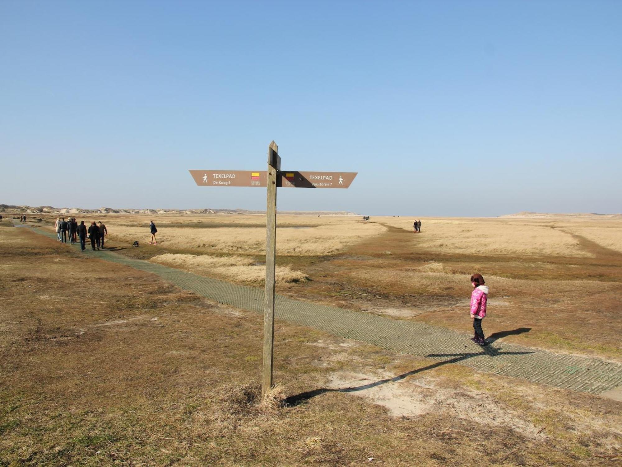 Great Holiday Home Energy Neutral On Texel With Sauna And Sun Shower Westermient Ngoại thất bức ảnh
